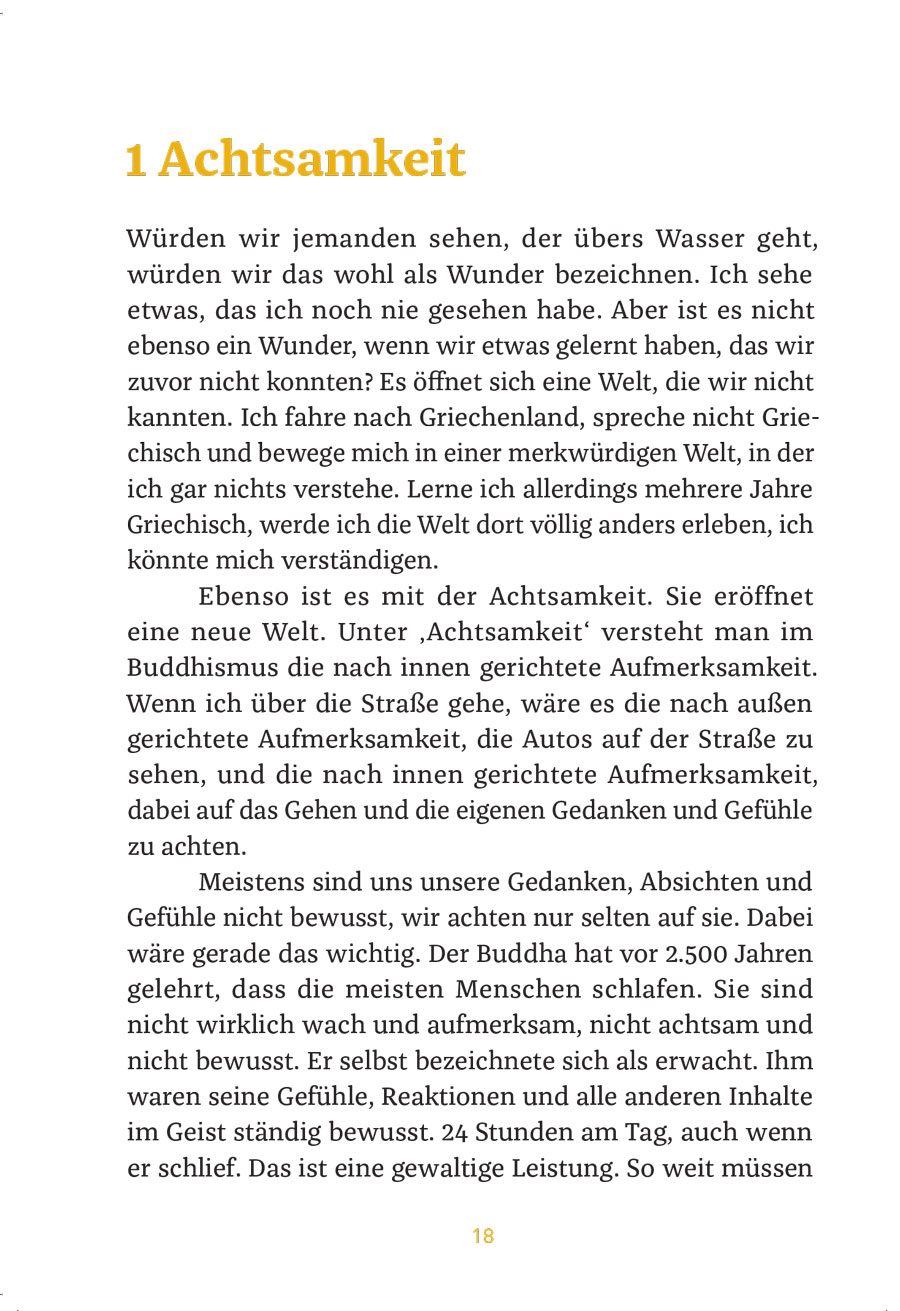 Möge die Übung gelingen – Bild 4